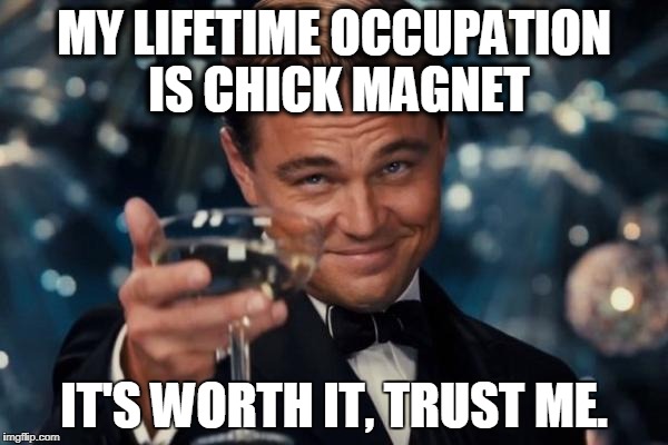 Leonardo Dicaprio Cheers Meme | MY LIFETIME OCCUPATION IS CHICK MAGNET; IT'S WORTH IT, TRUST ME. | image tagged in memes,leonardo dicaprio cheers | made w/ Imgflip meme maker