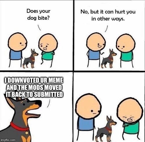 does your dog bite | I DOWNVOTED UR MEME AND THE MODS MOVED IT BACK TO SUBMITTED | image tagged in does your dog bite | made w/ Imgflip meme maker