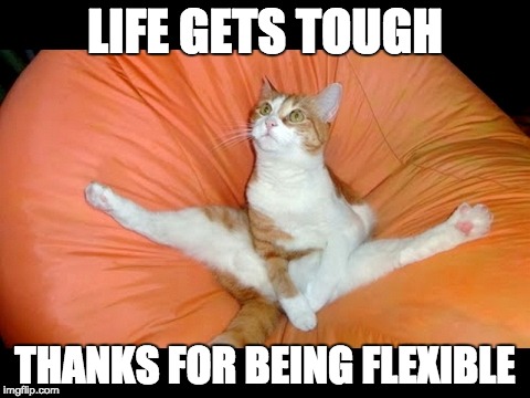 Cat Flexibility | LIFE GETS TOUGH; THANKS FOR BEING FLEXIBLE | image tagged in cat flexibility | made w/ Imgflip meme maker