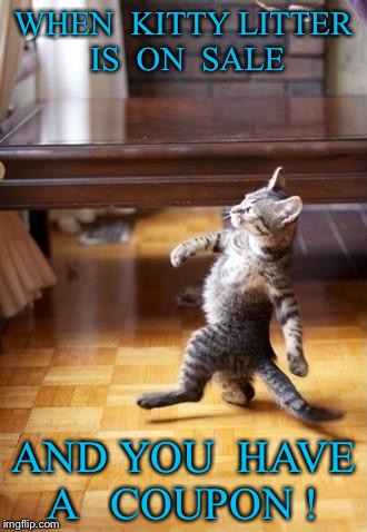 Cool Cat Stroll Meme | WHEN  KITTY LITTER IS  ON  SALE; AND YOU  HAVE A   COUPON ! | image tagged in memes,cool cat stroll | made w/ Imgflip meme maker