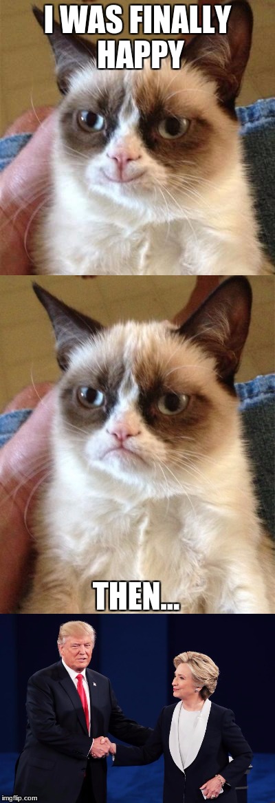 Too True | I WAS FINALLY HAPPY; THEN... | image tagged in grumpy cat,donald trump,happy | made w/ Imgflip meme maker