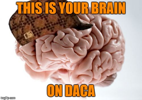 Scumbag Brain | THIS IS YOUR BRAIN; ON DACA | image tagged in memes,scumbag brain | made w/ Imgflip meme maker