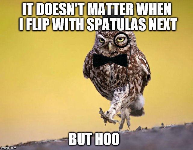 Gentleman Owl | IT DOESN'T MATTER WHEN I FLIP WITH SPATULAS NEXT; BUT HOO | image tagged in gentleman owl | made w/ Imgflip meme maker