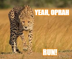 YEAH, OPRAH; RUN! | image tagged in run,stalk,oprah | made w/ Imgflip meme maker