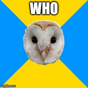 bipolar owl | WHO | image tagged in bipolar owl | made w/ Imgflip meme maker