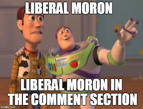 X, X Everywhere Meme | LIBERAL MORON LIBERAL MORON IN THE COMMENT SECTION | image tagged in memes,x x everywhere | made w/ Imgflip meme maker