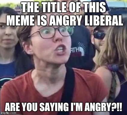 Angry Liberal | THE TITLE OF THIS MEME IS ANGRY LIBERAL; ARE YOU SAYING I'M ANGRY?!! | image tagged in angry liberal | made w/ Imgflip meme maker