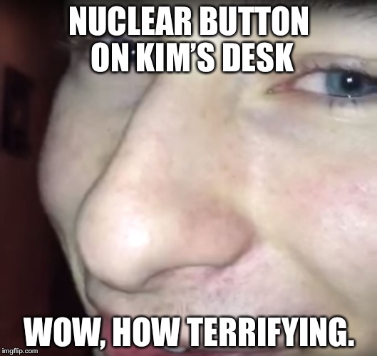wow vine | NUCLEAR BUTTON ON KIM’S DESK; WOW, HOW TERRIFYING. | image tagged in wow vine | made w/ Imgflip meme maker