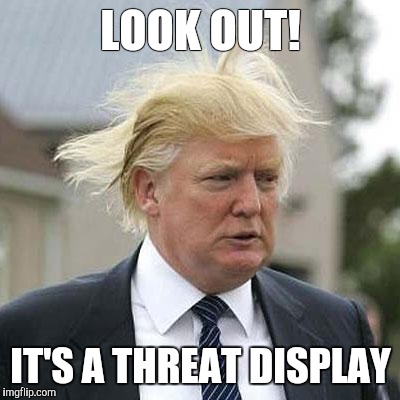 Donald Trump | LOOK OUT! IT'S A THREAT DISPLAY | image tagged in donald trump | made w/ Imgflip meme maker