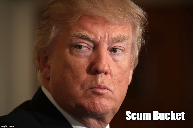"Scum Bucket" | Scum Bucket | image tagged in deplorable donald,despicable donald,devious donald,dishonorable donald,deceitful donald,dishonest donald | made w/ Imgflip meme maker