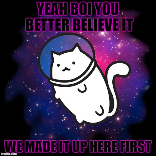 cats in space | YEAH BOI YOU BETTER BELIEVE IT; WE MADE IT UP HERE FIRST | image tagged in cats | made w/ Imgflip meme maker