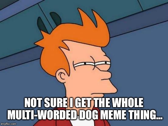 Futurama Fry Meme | NOT SURE I GET THE WHOLE MULTI-WORDED DOG MEME THING... | image tagged in memes,futurama fry | made w/ Imgflip meme maker