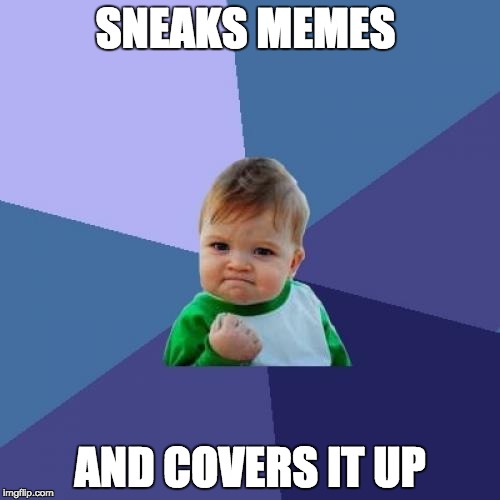 Success Kid | SNEAKS MEMES; AND COVERS IT UP | image tagged in memes,success kid | made w/ Imgflip meme maker