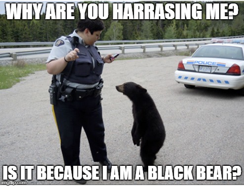 WHY ARE YOU HARRASING ME? IS IT BECAUSE I AM A BLACK BEAR? | image tagged in bear,police | made w/ Imgflip meme maker