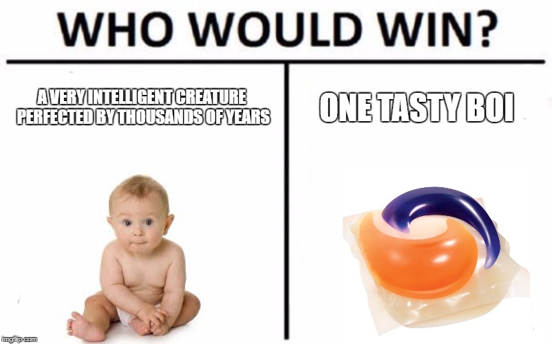 Who Would Win? | A VERY INTELLIGENT CREATURE PERFECTED BY THOUSANDS OF YEARS; ONE TASTY BOI | image tagged in memes,who would win | made w/ Imgflip meme maker