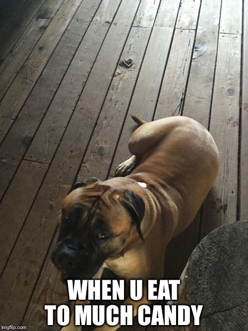 WHEN U EAT TO MUCH CANDY | image tagged in dog | made w/ Imgflip meme maker