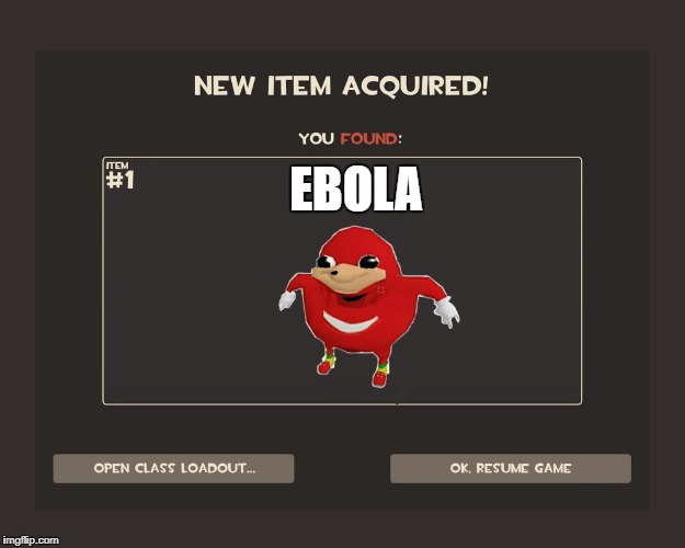You got tf2 shit | EBOLA | image tagged in you got tf2 shit | made w/ Imgflip meme maker