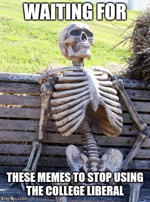 Waiting Skeleton Meme | WAITING FOR THESE MEMES TO STOP USING THE COLLEGE LIBERAL | image tagged in memes,waiting skeleton | made w/ Imgflip meme maker