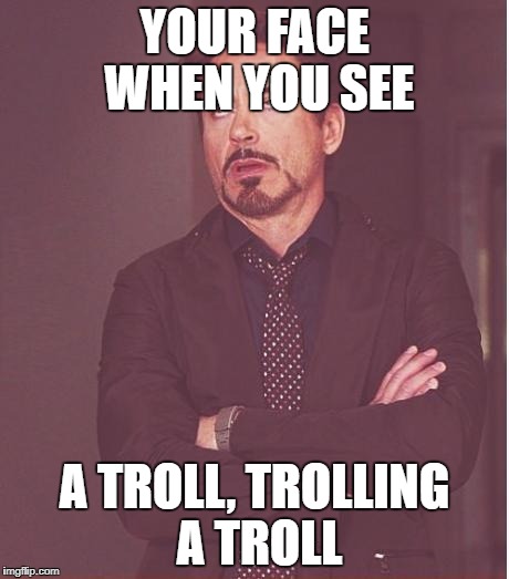 Face You Make Robert Downey Jr Meme | YOUR FACE WHEN YOU SEE A TROLL, TROLLING A TROLL | image tagged in memes,face you make robert downey jr | made w/ Imgflip meme maker