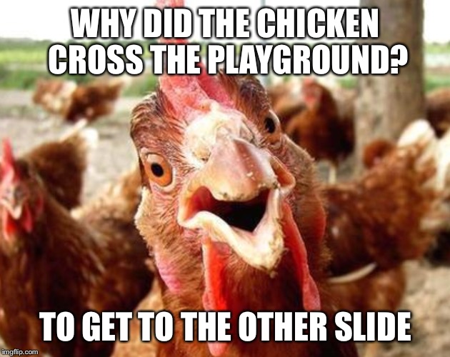 WHY DID THE CHICKEN CROSS THE PLAYGROUND? TO GET TO THE OTHER SLIDE | image tagged in memes,anti joke chicken | made w/ Imgflip meme maker