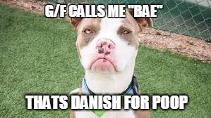 BAE | G/F CALLS ME "BAE"; THATS DANISH FOR POOP | image tagged in grumpy,poop,g/f calls | made w/ Imgflip meme maker