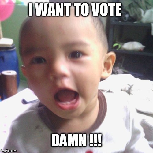 Rebel Kid | I WANT TO VOTE; DAMN !!! | image tagged in revolution,voteforkids,kidsrpeople2,kidswanttovote | made w/ Imgflip meme maker