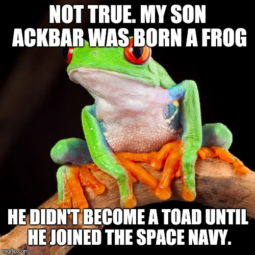NOT TRUE. MY SON ACKBAR WAS BORN A FROG HE DIDN'T BECOME A TOAD UNTIL HE JOINED THE SPACE NAVY. | made w/ Imgflip meme maker