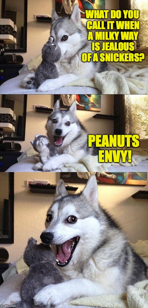 Bad Pun Dog Meme | WHAT DO YOU CALL IT WHEN A MILKY WAY IS JEALOUS OF A SNICKERS? PEANUTS ENVY! | image tagged in memes,bad pun dog,snickers,milky way | made w/ Imgflip meme maker