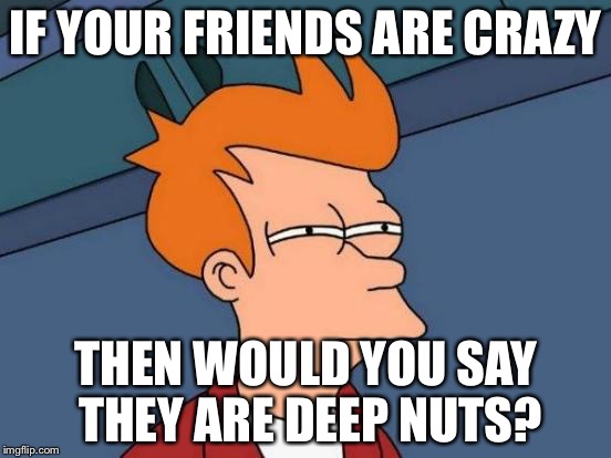 Futurama Fry | IF YOUR FRIENDS ARE CRAZY; THEN WOULD YOU SAY THEY ARE DEEP NUTS? | image tagged in memes,futurama fry | made w/ Imgflip meme maker