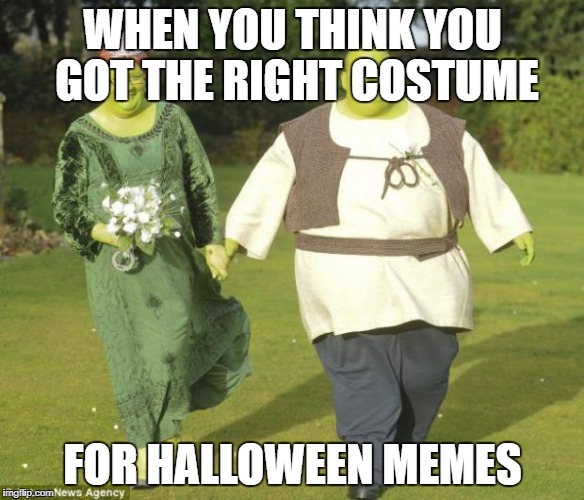 Shrek | WHEN YOU THINK YOU GOT THE RIGHT COSTUME; FOR HALLOWEEN MEMES | image tagged in shrek | made w/ Imgflip meme maker