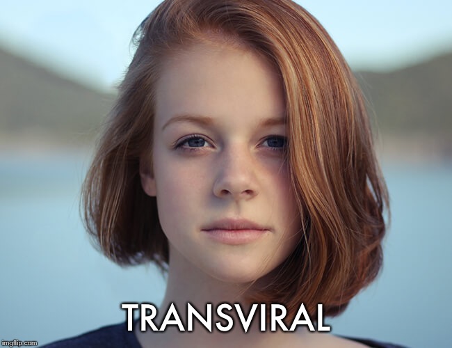 TRANSVIRAL | made w/ Imgflip meme maker