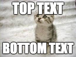 Sad Cat Meme | TOP TEXT; BOTTOM TEXT | image tagged in memes,sad cat | made w/ Imgflip meme maker
