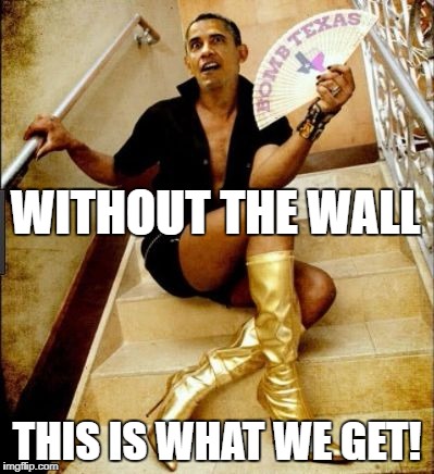 Obamination | WITHOUT THE WALL; THIS IS WHAT WE GET! | image tagged in obamination | made w/ Imgflip meme maker
