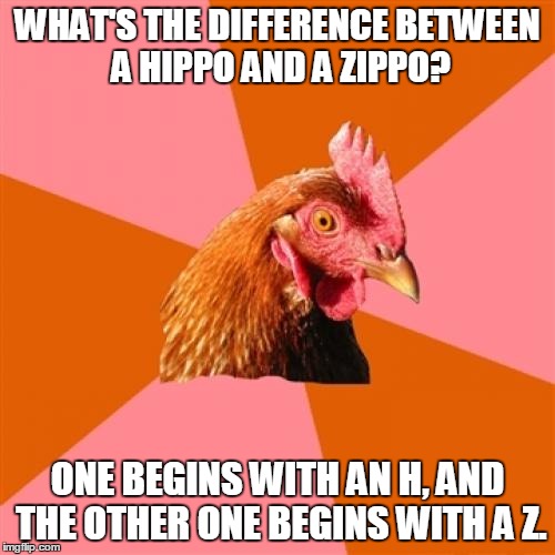 Sometimes I wish the Anti Joke Chicken would stop being so 'heavy,' and let his sense of humor get 'a little lighter.' | WHAT'S THE DIFFERENCE BETWEEN A HIPPO AND A ZIPPO? ONE BEGINS WITH AN H, AND THE OTHER ONE BEGINS WITH A Z. | image tagged in memes,anti joke chicken,hippo,zippo,punchline,one is really heavy and the other's a little lighter | made w/ Imgflip meme maker