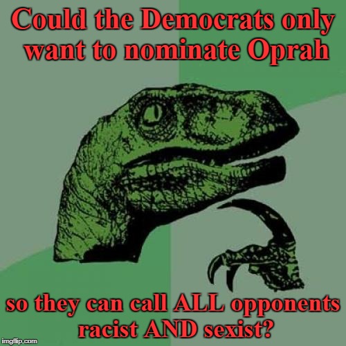 Could be  | Could the Democrats only want to nominate Oprah; so they can call ALL opponents racist AND sexist? | image tagged in memes,philosoraptor,oprah winfrey,oprah | made w/ Imgflip meme maker