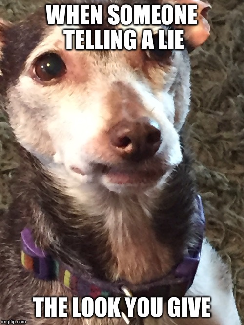 Mister | WHEN SOMEONE TELLING A LIE; THE LOOK YOU GIVE | image tagged in mister | made w/ Imgflip meme maker