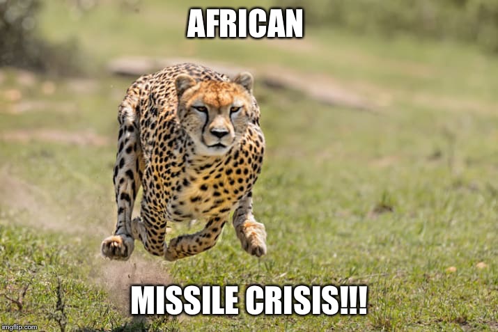 Nuclear cheetah missile  | AFRICAN; MISSILE CRISIS!!! | image tagged in funny animals,war cat,cats,big cats | made w/ Imgflip meme maker