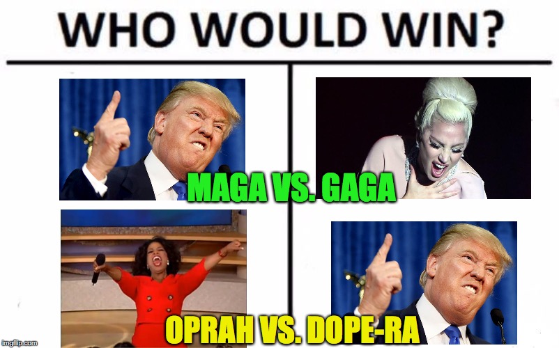 Who Would Win? | MAGA VS. GAGA; OPRAH VS. DOPE-RA | image tagged in memes,who would win,trump,maga,lady gaga,oprah you get a | made w/ Imgflip meme maker