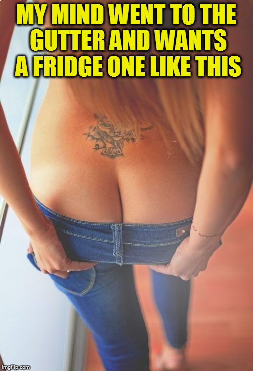 MY MIND WENT TO THE GUTTER AND WANTS A FRIDGE ONE LIKE THIS | made w/ Imgflip meme maker