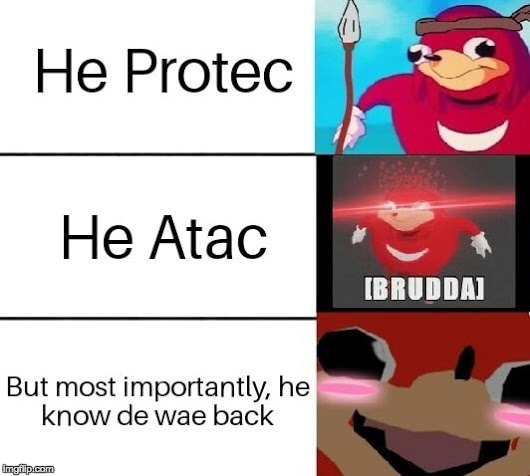 Took me a while to upload this... | image tagged in da wae | made w/ Imgflip meme maker