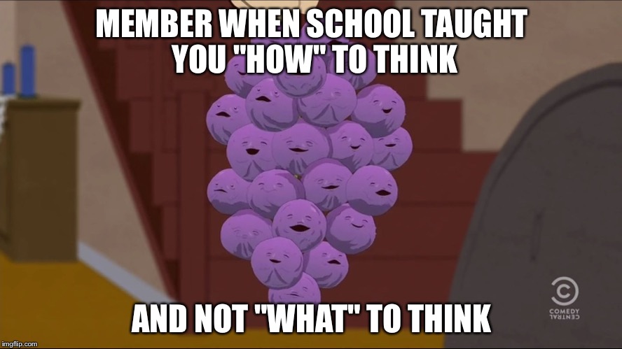 Member Berries | MEMBER WHEN SCHOOL TAUGHT YOU "HOW" TO THINK; AND NOT "WHAT" TO THINK | image tagged in memes,member berries | made w/ Imgflip meme maker