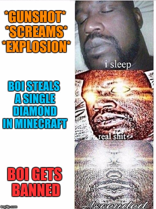 The Cycle of Minecraft | *GUNSHOT* *SCREAMS* *EXPLOSION*; BOI STEALS A SINGLE DIAMOND IN MINECRAFT; BOI GETS BANNED | image tagged in i sleep meme with ascended template | made w/ Imgflip meme maker