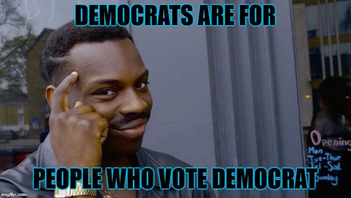 Roll Safe Think About It Meme | DEMOCRATS ARE FOR PEOPLE WHO VOTE DEMOCRAT | image tagged in memes,roll safe think about it | made w/ Imgflip meme maker