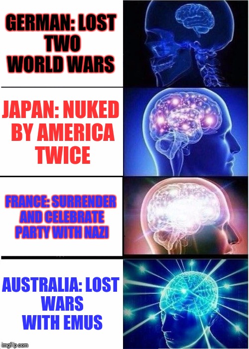Expanding Brain | GERMAN:
LOST TWO WORLD WARS; JAPAN:
NUKED BY AMERICA TWICE; FRANCE:
SURRENDER AND CELEBRATE PARTY WITH NAZI; AUSTRALIA:
LOST WARS WITH EMUS | image tagged in memes,expanding brain | made w/ Imgflip meme maker