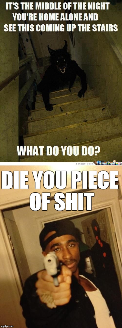 scary dog coming up the stairs | DIE YOU PIECE OF SHIT | image tagged in tupac,dog,scary | made w/ Imgflip meme maker