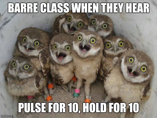Barre class pulse | BARRE CLASS WHEN THEY HEAR; PULSE FOR 10, HOLD FOR 10 | image tagged in fitness,gym,exercise,workout | made w/ Imgflip meme maker