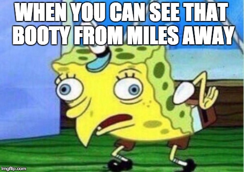 Mocking Spongebob Meme | WHEN YOU CAN SEE THAT BOOTY FROM MILES AWAY | image tagged in memes,mocking spongebob | made w/ Imgflip meme maker