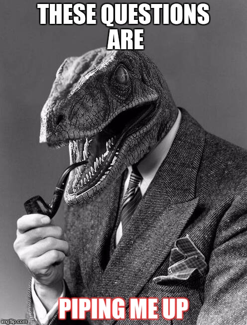classy raptor | THESE QUESTIONS ARE; PIPING ME UP | image tagged in classy raptor | made w/ Imgflip meme maker