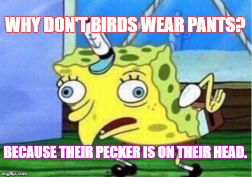 Mocking Spongebob | WHY DON'T BIRDS WEAR PANTS? BECAUSE THEIR PECKER IS ON THEIR HEAD. | image tagged in memes,mocking spongebob | made w/ Imgflip meme maker