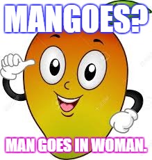mango | MANGOES? MAN GOES IN WOMAN. | image tagged in mango | made w/ Imgflip meme maker